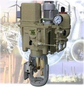 ��Reineke�Һ