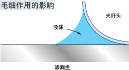 �z�y�ɿ�-ë�����õ�Ӱ�