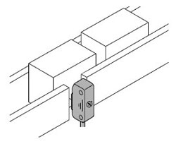 ���_��̎�z�y���w