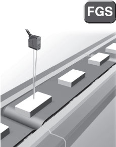 FGS�������m��������r