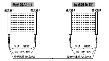 ���ɔ_����