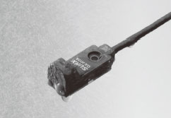 ���o����