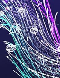 SIAF2023展會(huì)專(zhuān)題